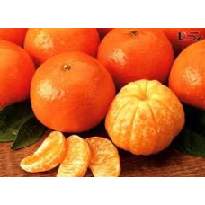 نارنگی پاکستانی