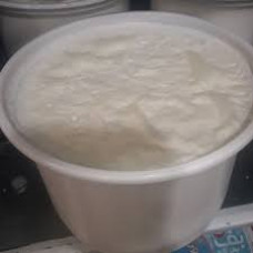 ماست پرچرب محلی علیزاده