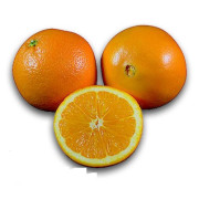 پرتقال تامسون شمال..